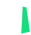 shopify_icon