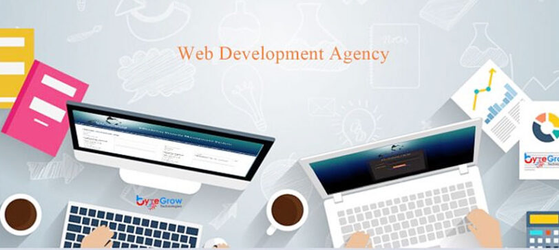 ensure-your-web-development-agency-outsource-is-a-success-banner